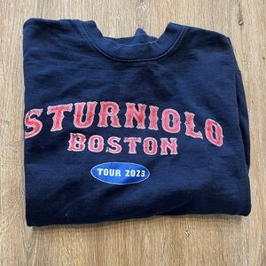 Sturniolo triplets merch